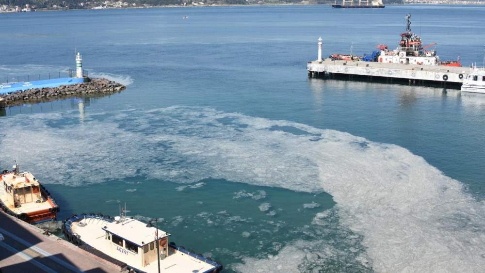 Çanakkale Boğazı’nda 'müsilaj' kabusu devam ediyor!