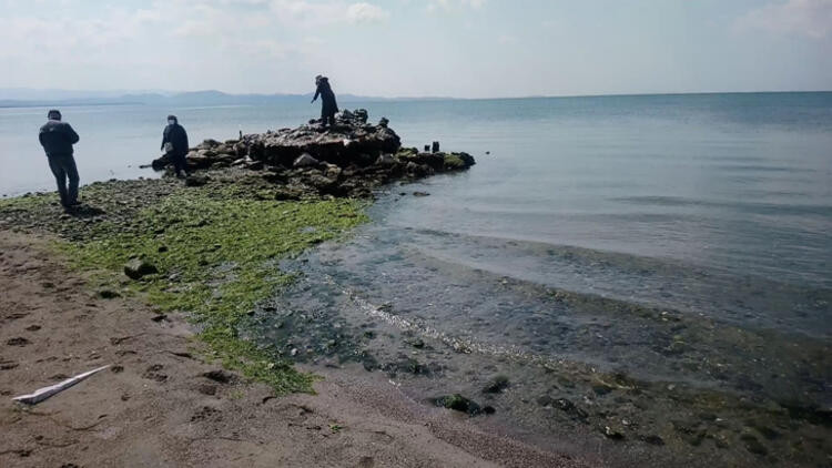 Yüzerek gidilen kayalıklara, sular çekilince yürüyerek çıktılar!