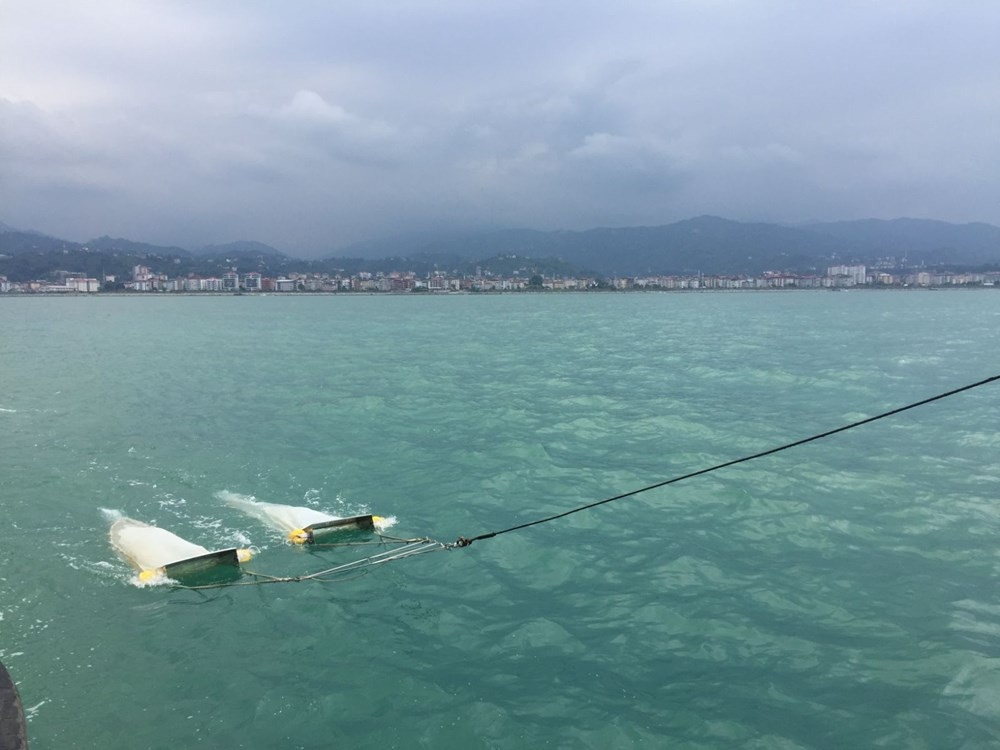 Karadeniz'de 'mikroplastik' kirliliği: 12 balık türünde görüldü