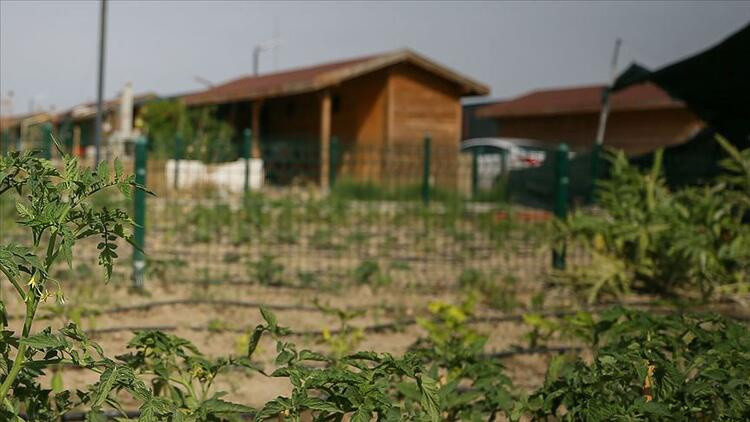 Pandemi sonrası en çok değerlenen bölgeler