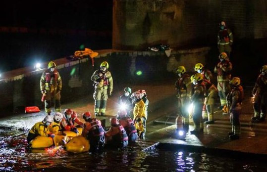 Thames nehrine giren balina için kurtarma operasyonu