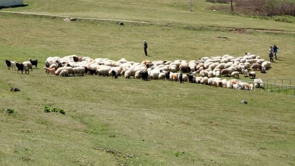 Trabzon’da 8 yapay Uzungöl’ün ilki tamamlandı