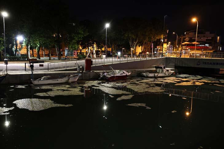 Kadıköy'de endişelendiren görüntü! Tamamen kapladı...