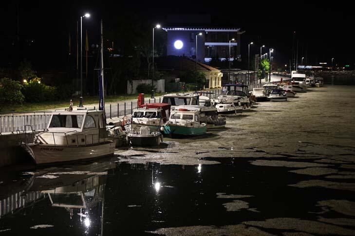 Kadıköy'de endişelendiren görüntü! Tamamen kapladı...