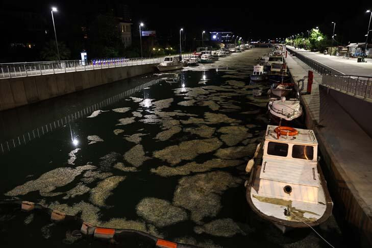 Kadıköy'de endişelendiren görüntü! Tamamen kapladı...