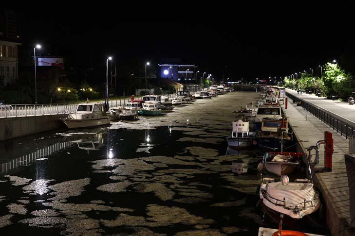 Kadıköy'de endişelendiren görüntü! Tamamen kapladı...