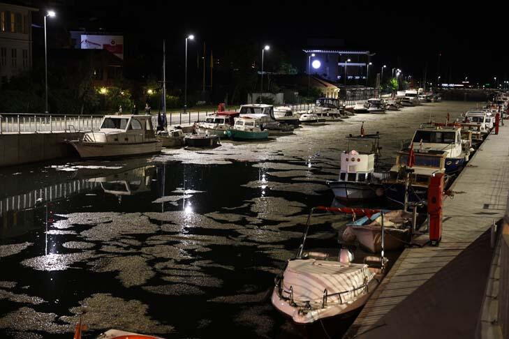 Kadıköy'de endişelendiren görüntü! Tamamen kapladı...