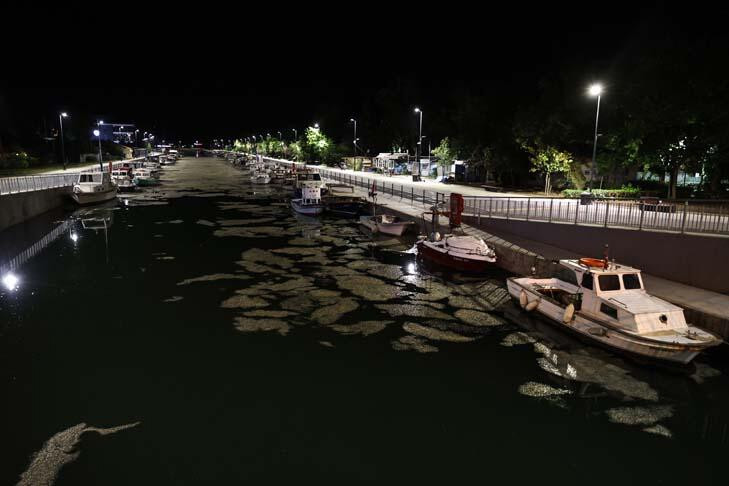 Kadıköy'de endişelendiren görüntü! Tamamen kapladı...