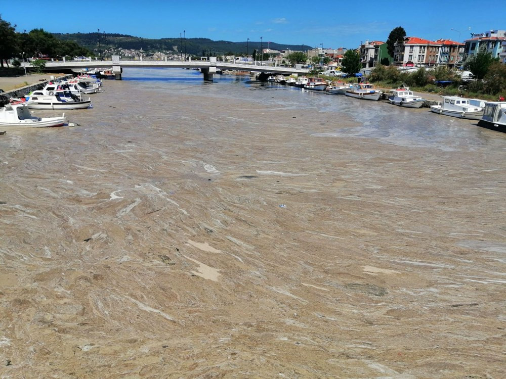 Çanakkale Boğazı'ndan sonra Sarıçay da müsilaj ile kaplandı