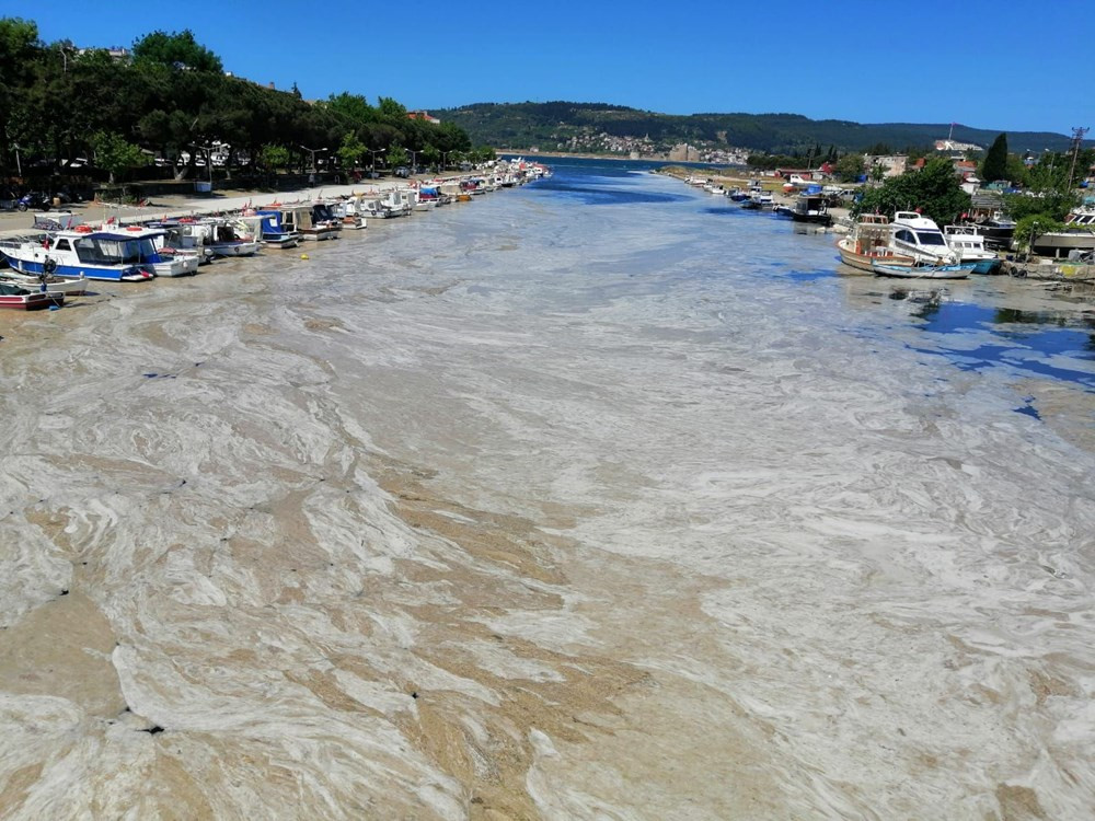 Çanakkale Boğazı'ndan sonra Sarıçay da müsilaj ile kaplandı