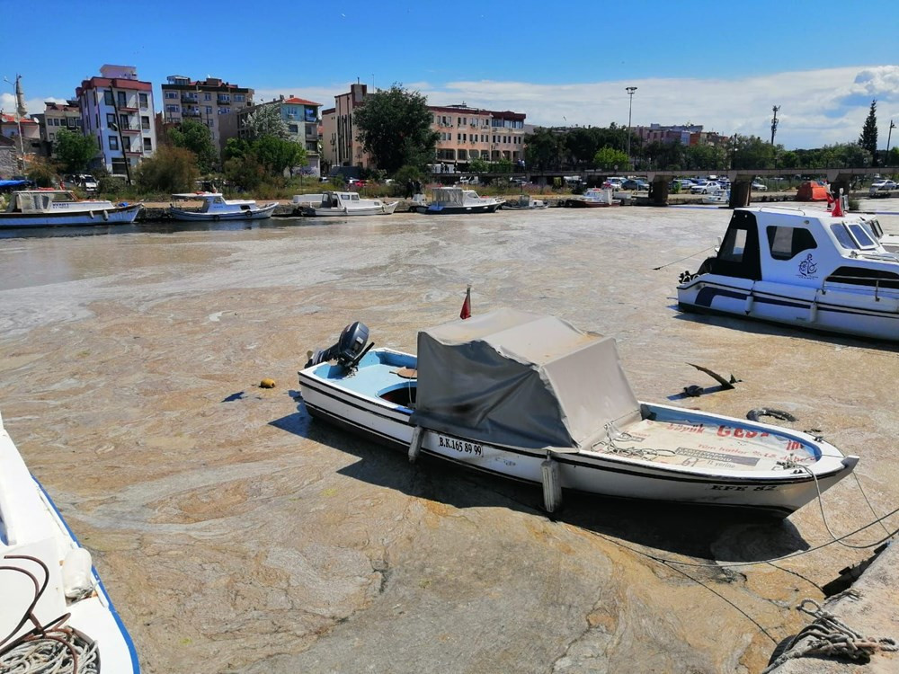 Çanakkale Boğazı'ndan sonra Sarıçay da müsilaj ile kaplandı