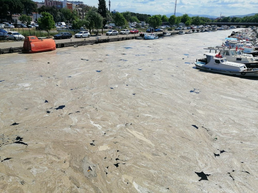 Çanakkale Boğazı'ndan sonra Sarıçay da müsilaj ile kaplandı