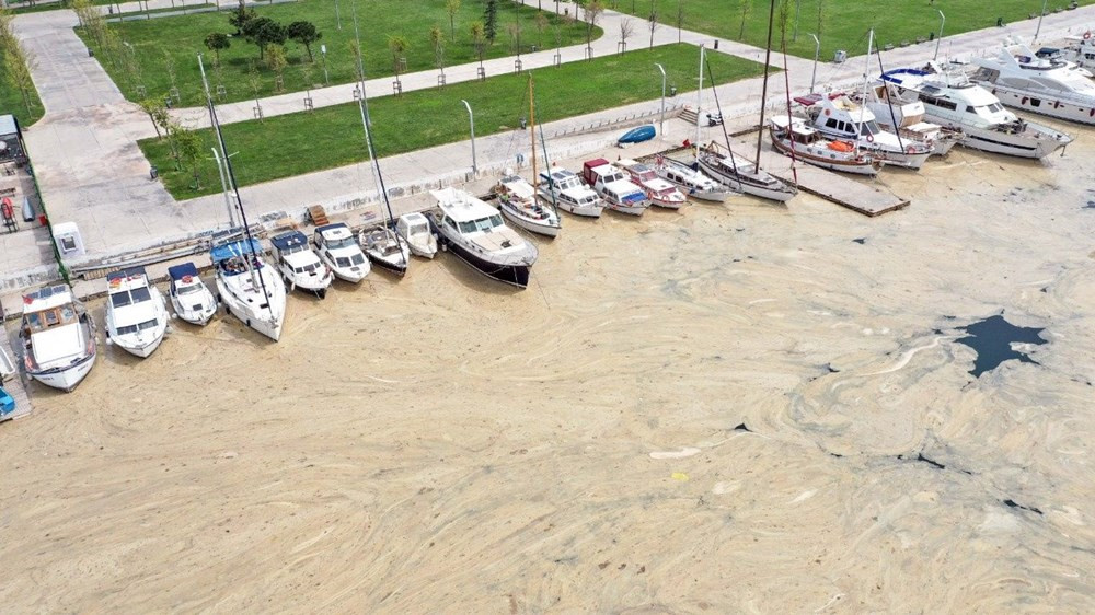 Deniz salyası uluslararası basının gündeminde