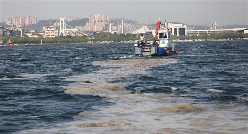 Deniz salyası uluslararası basının gündeminde