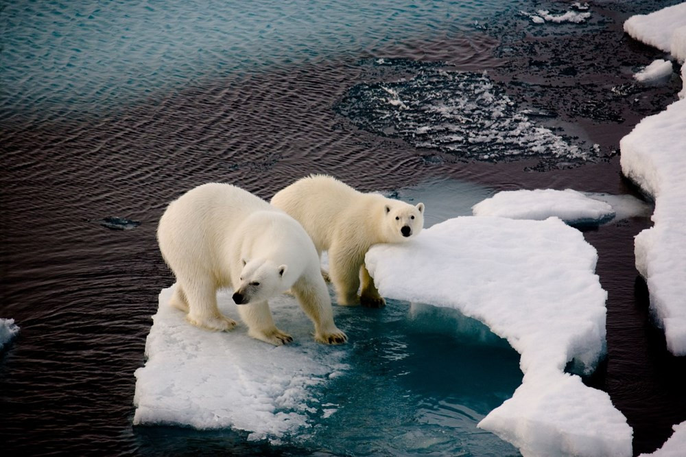 Dünya Meteoroloji Örgütü uyardı! 2025 yılına kadar kritik eşik geçilecek