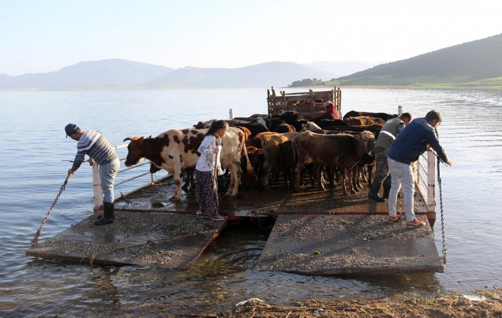 Türkiye'de virüse rastlanmayan tek yer: Mada Adası