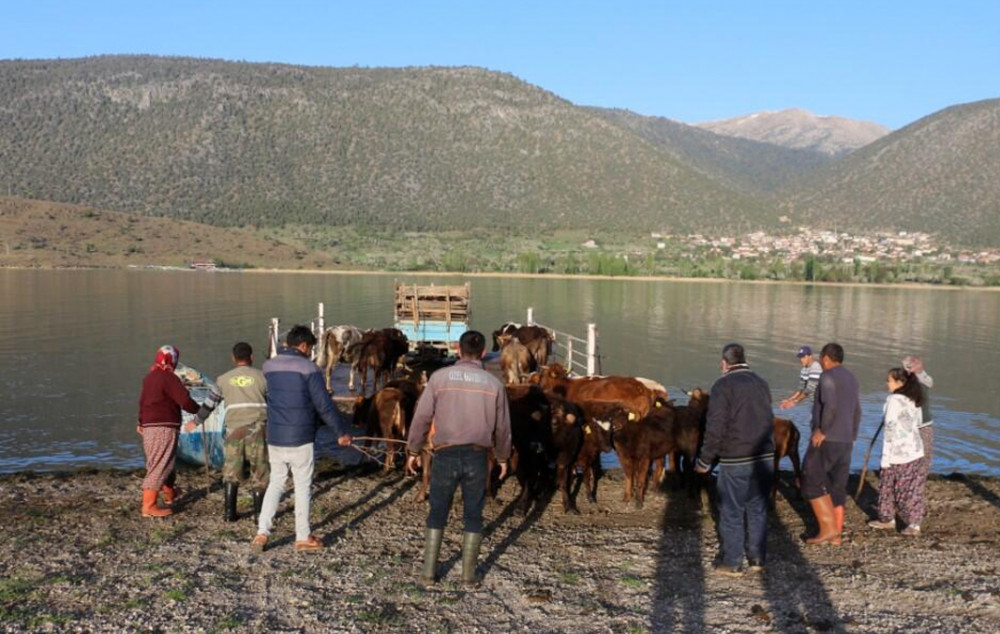 Türkiye'de virüse rastlanmayan tek yer: Mada Adası