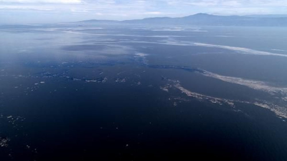 Deniz salyasıyla kaplanan Mudanya Yat Limanı, havadan görüntülendi