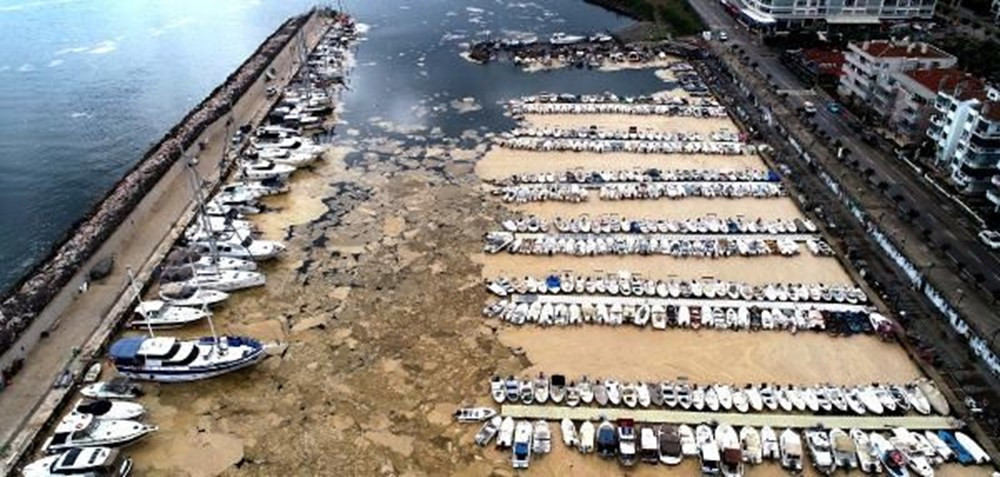 Deniz salyasıyla kaplanan Mudanya Yat Limanı, havadan görüntülendi