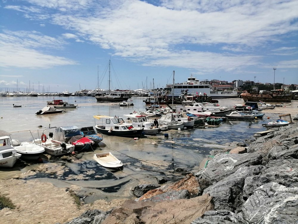 Marmara Denizi'nde salya araştırması