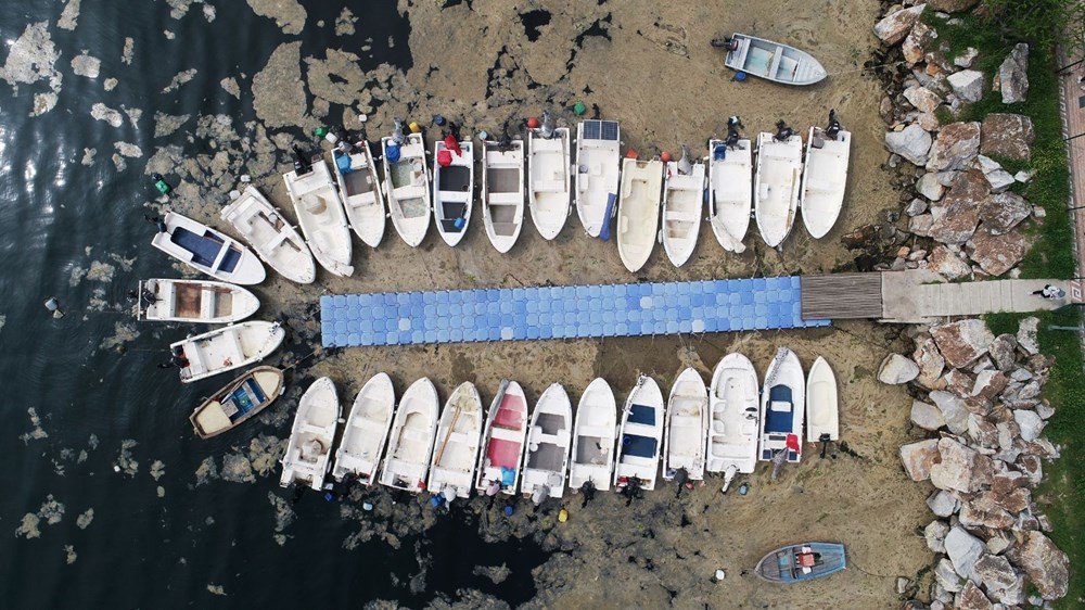 Marmara Denizi'nde salya araştırması