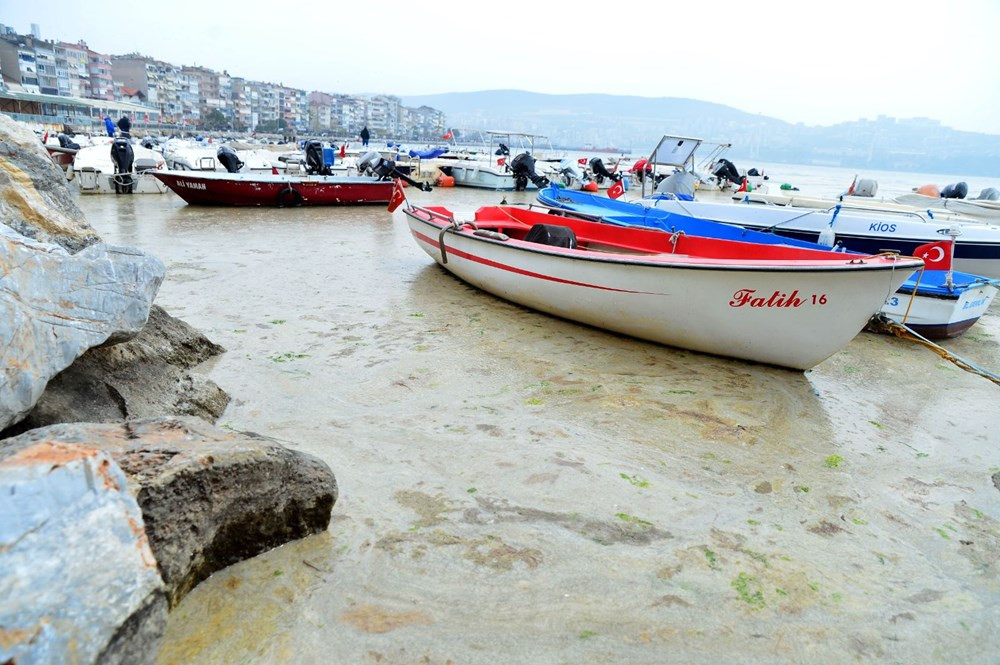 Marmara Denizi'nde salya araştırması