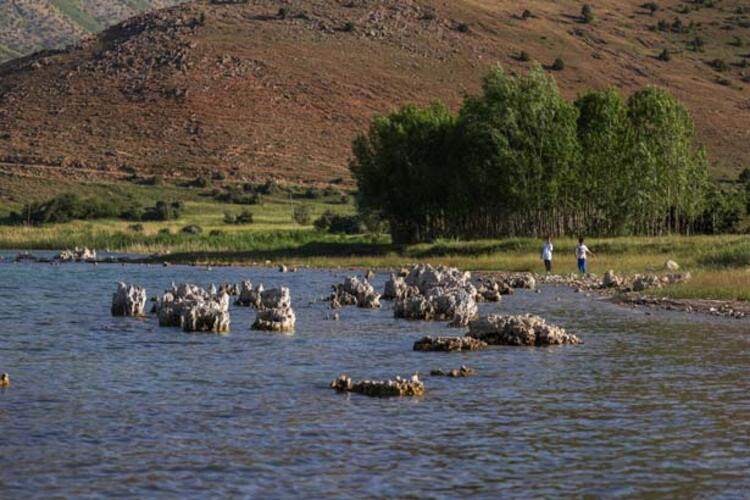 Dünyanın en gizemli yapıları gün yüzüne çıktı