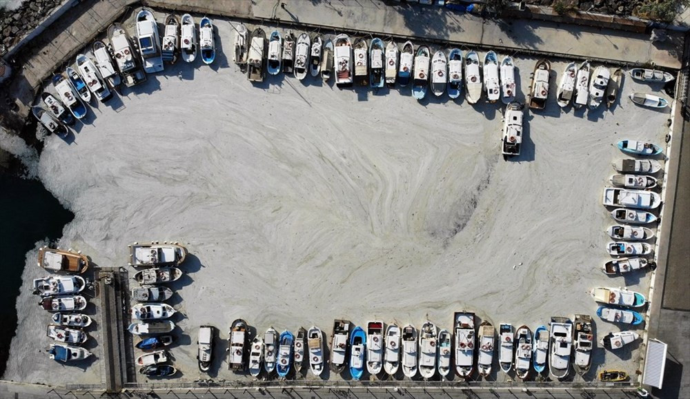 Müsilaj Çanakkale Boğazı'nı esir aldı!