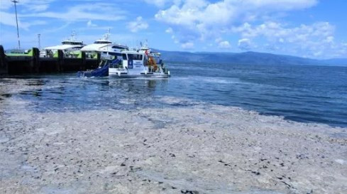 Marmara’ya Karadeniz’den organik karbon yağıyor