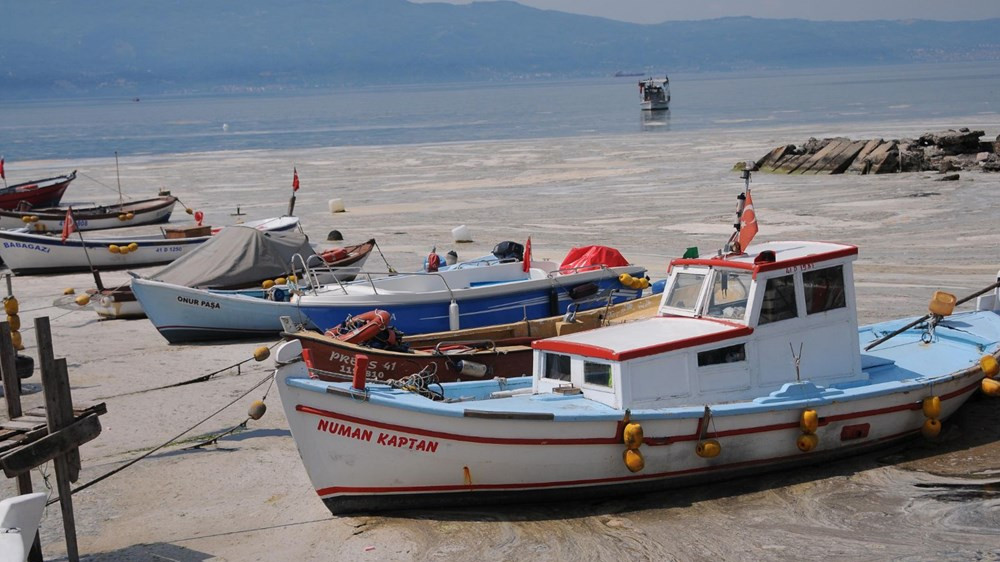 Müsilajın balık ve midyeye etkisi var mı?