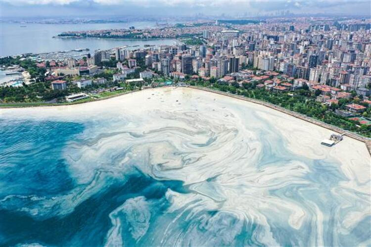 Caddebostan Sahili'nde müsilaj yeniden arttı! 