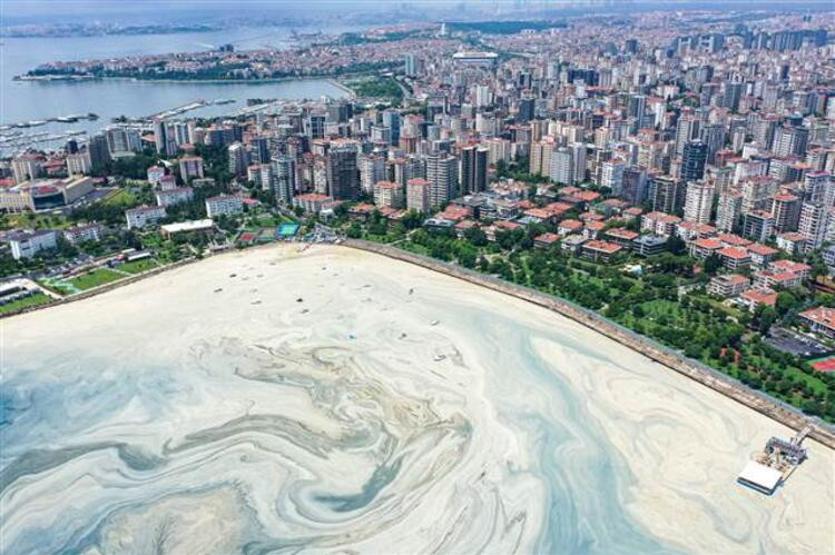 Caddebostan Sahili'nde müsilaj yeniden arttı! 