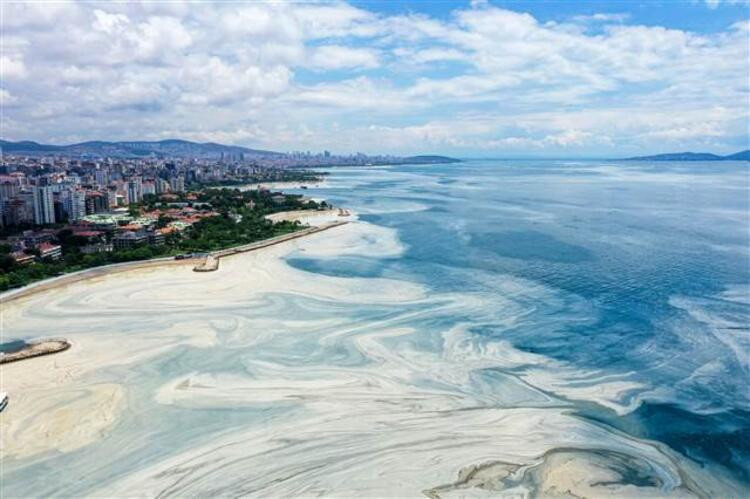 Caddebostan Sahili'nde müsilaj yeniden arttı! 