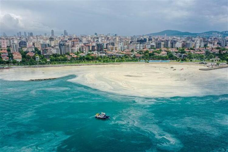 Caddebostan Sahili'nde müsilaj yeniden arttı! 