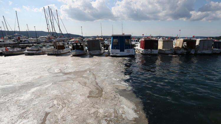 Çanakkale Boğazı'nın Ege çıkışında müsilaj görüldü