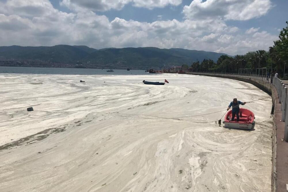 Deniz salyası kabusu! Bakanlık harekete geçti...