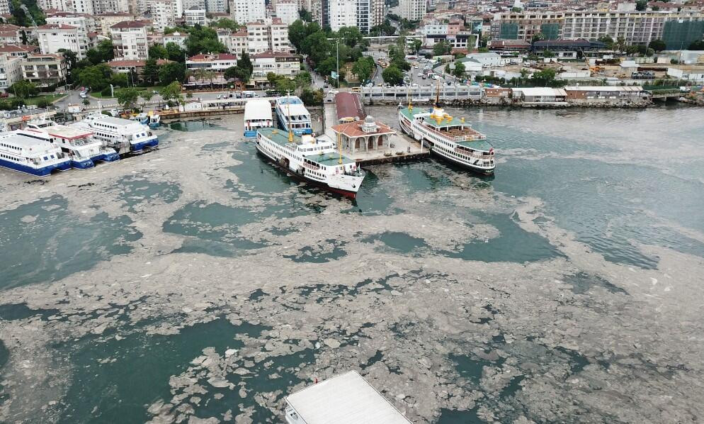 Deniz salyası kabusu! Bakanlık harekete geçti...