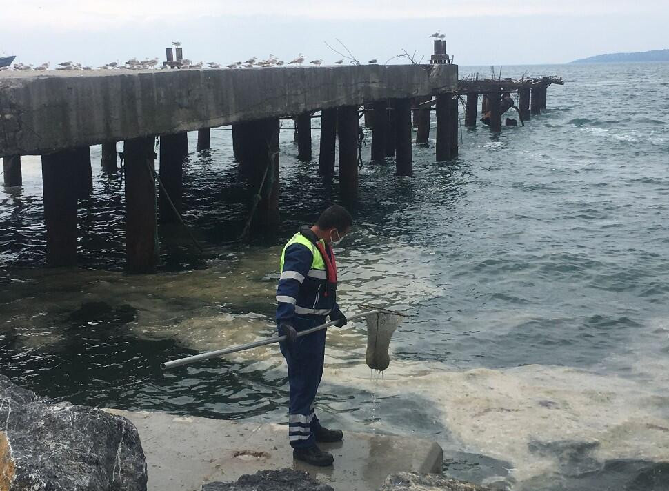 Deniz salyası kabusu! Bakanlık harekete geçti...