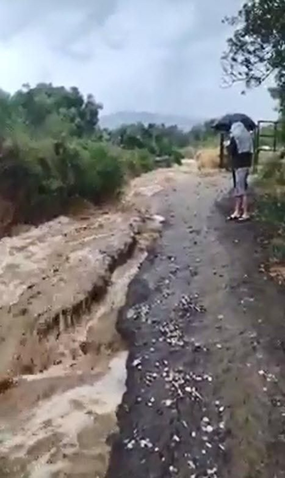 İzmir'i sağanak! Dere ve çaylar taştı, araçlar sürüklendi