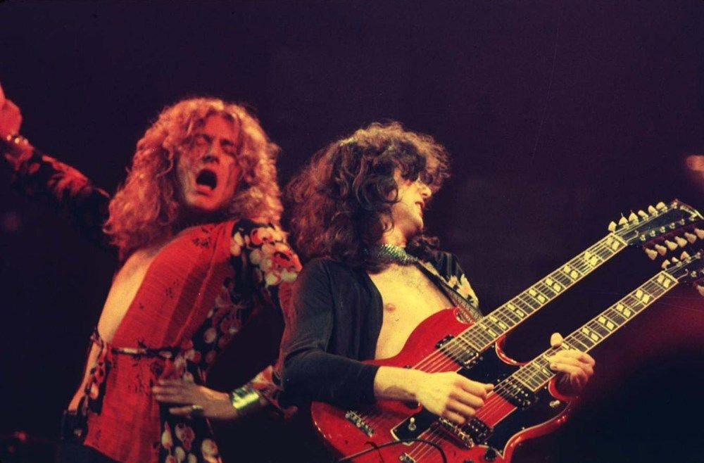 Ekvador'da yeni keşfedilen kurbağa türüne rock grubu Led Zeppelin'in adı verildi