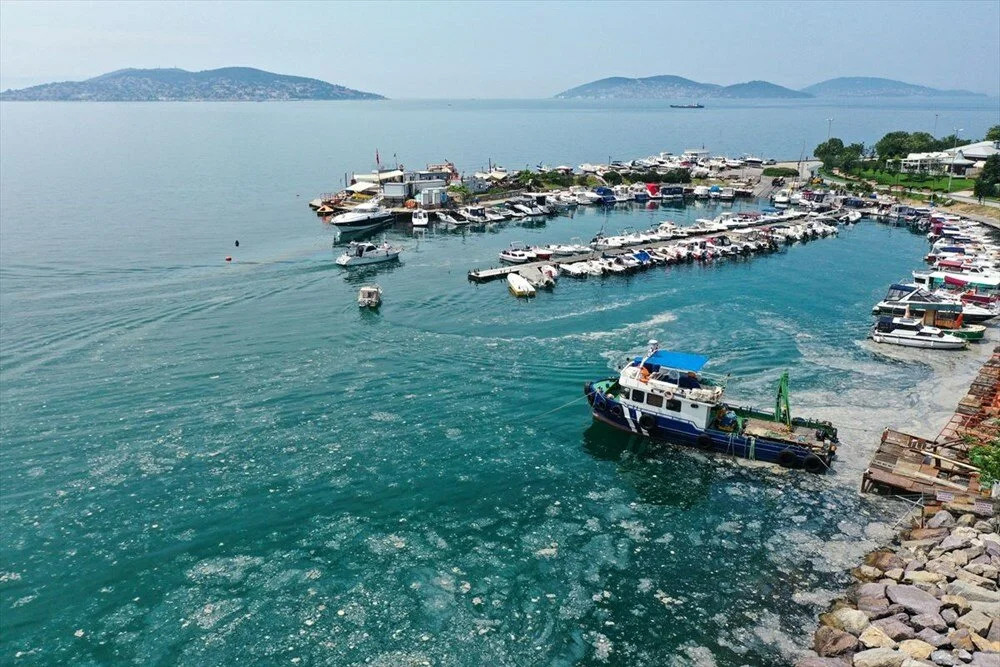 ODTÜ’nün müsilaj analizi! Marmara'da 'derin' inceleme...