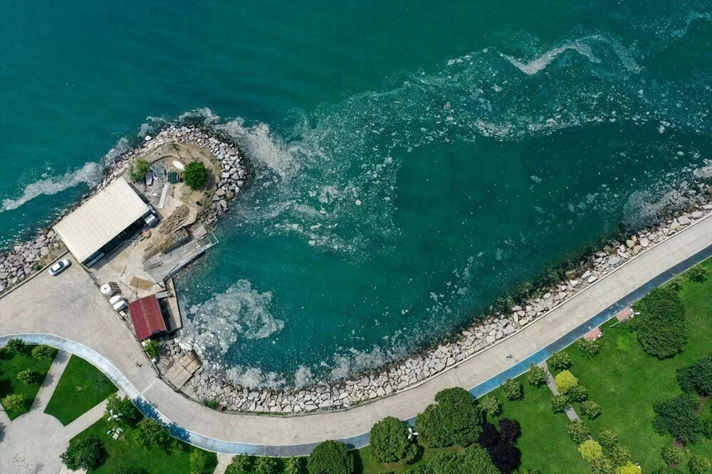 ODTÜ’nün müsilaj analizi! Marmara'da 'derin' inceleme...