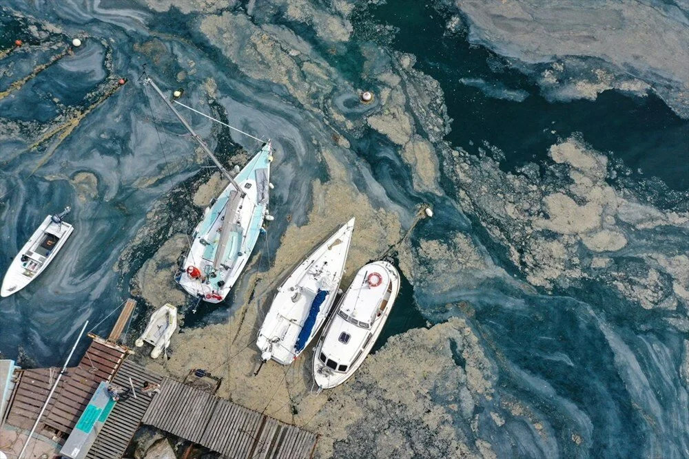 ODTÜ’nün müsilaj analizi! Marmara'da 'derin' inceleme...