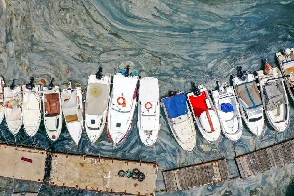 ODTÜ’nün müsilaj analizi! Marmara'da 'derin' inceleme...