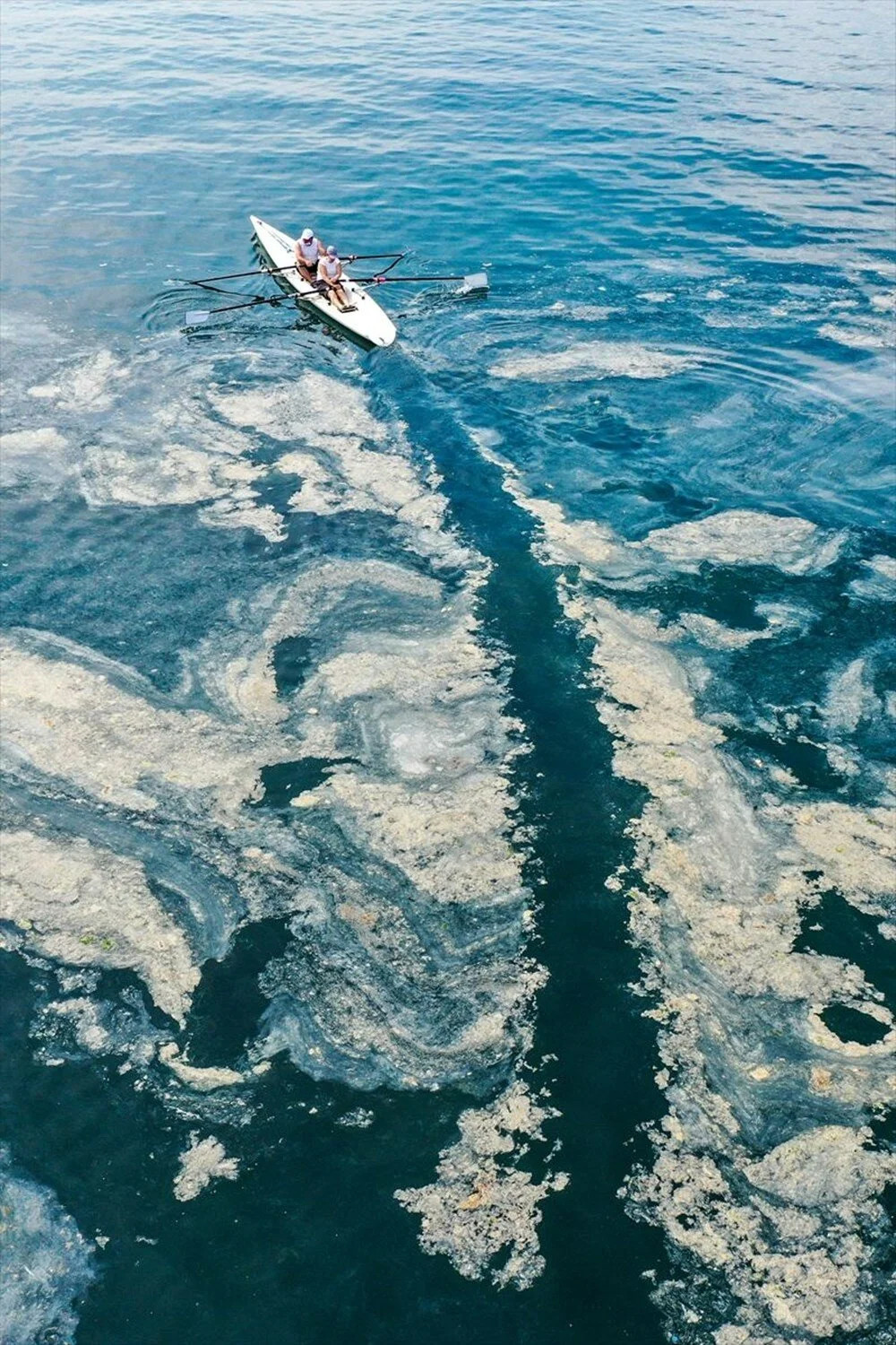 ODTÜ’nün müsilaj analizi! Marmara'da 'derin' inceleme...