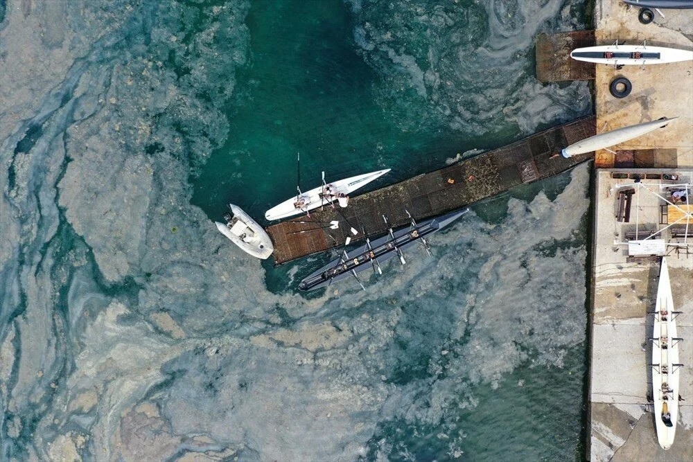 ODTÜ’nün müsilaj analizi! Marmara'da 'derin' inceleme...