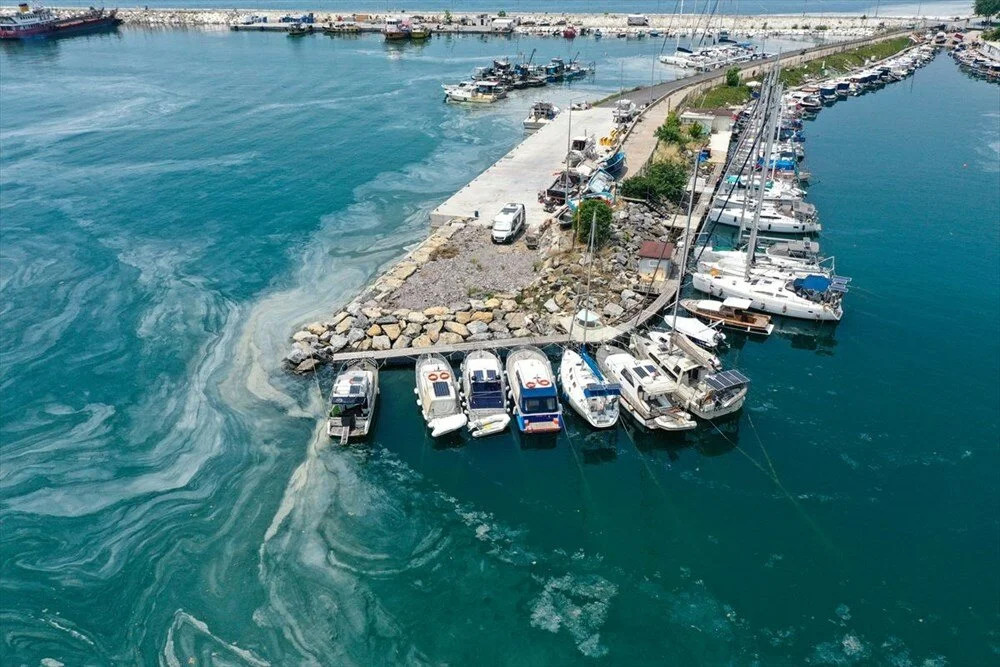 ODTÜ’nün müsilaj analizi! Marmara'da 'derin' inceleme...