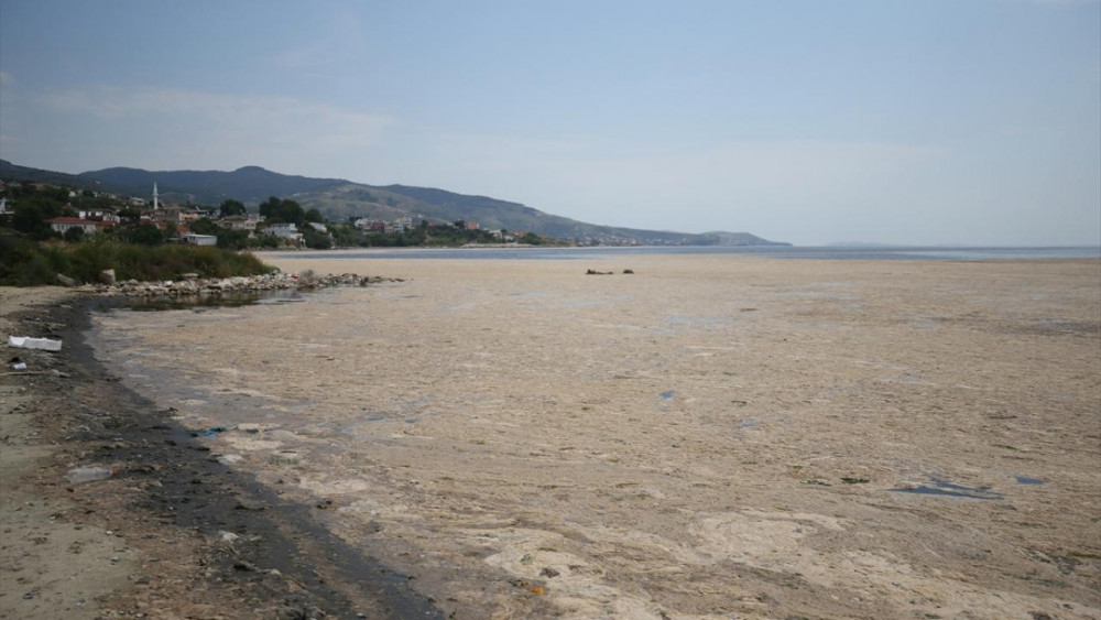 Erdek'te müsilaj tabakası sahille böyle birleşti!