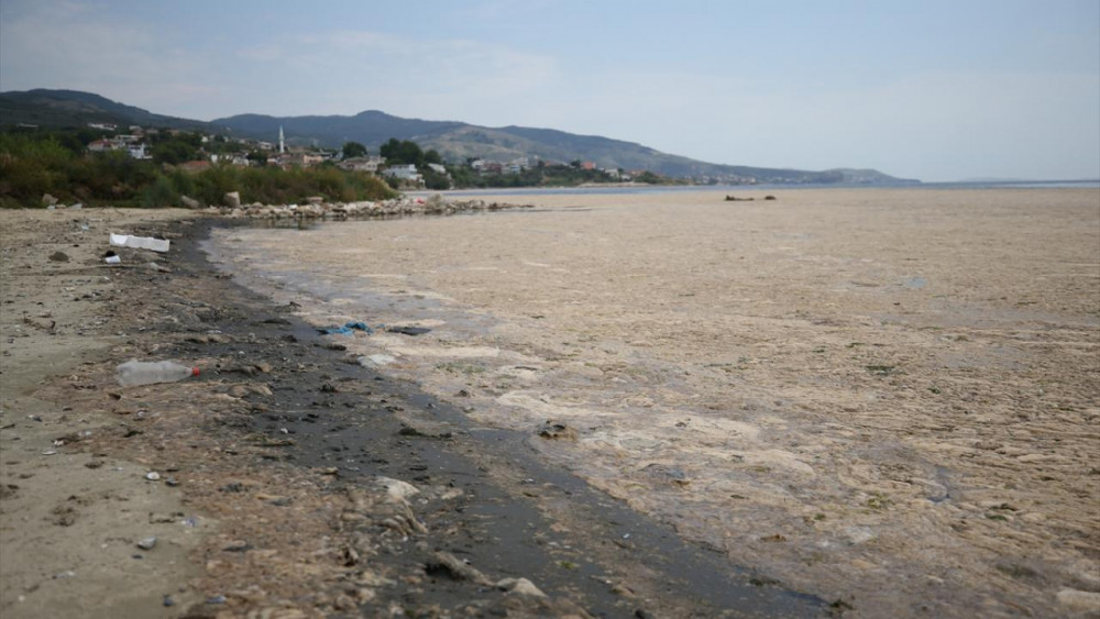 Erdek'te müsilaj tabakası sahille böyle birleşti!