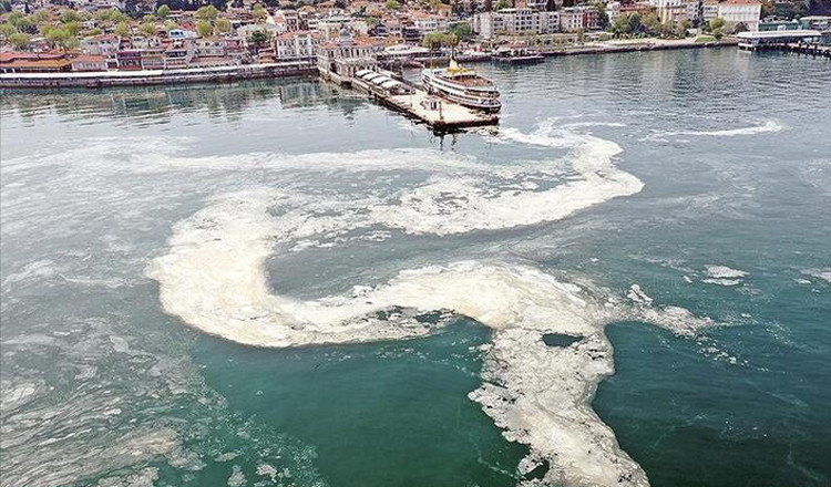 Müsilaj nerelerde var? İşte son durum...